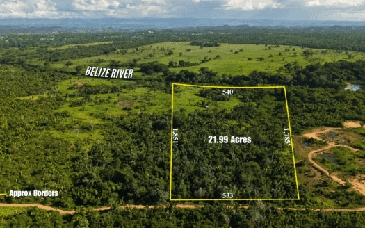 Prime 21.99 Acre Riverfront Property Near Belmopan – Natural Spring, Creek & Fruit Trees