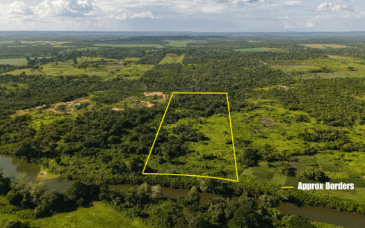 Prime 21.99 Acre Riverfront Property Near Belmopan – Natural Spring, Creek & Fruit Trees