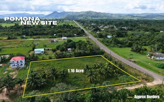 Prime Hummingbird Highway Property in Stann Creek District