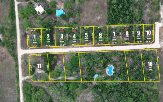 Windy Palms Estates – Spacious Lots in University Heights, Belmopan