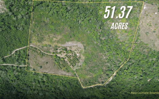 51.37 Acres Hilltop Land Near Chial Reserve, Cayo