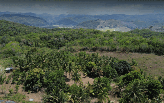 51.37 Acres Hilltop Land Near Chial Reserve, Cayo