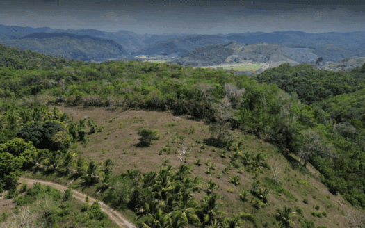 51.37 Acres Hilltop Land Near Chial Reserve, Cayo