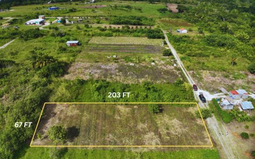 0.31 Acre Build-Ready Lot in Valley of Peace Village