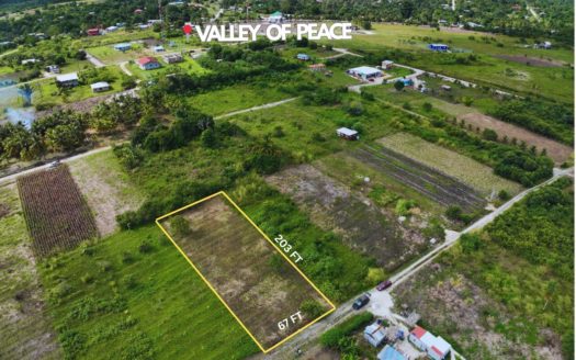 0.31 Acre Build-Ready Lot in Valley of Peace Village