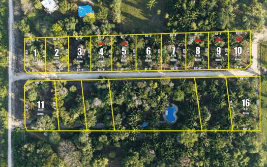Windy Palms Estates – Spacious Lots in University Heights, Belmopan