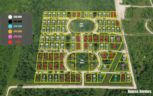 Iguana Vista Estates: Affordable Land Near Spanish Lookout