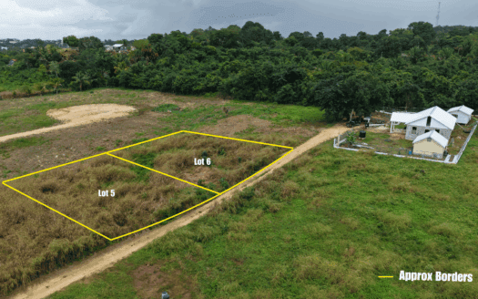 Prime Build-Ready Lots Near the Hummingbird Highway, Belmopan