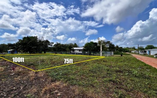 Build-Ready Lot for Sale in Salvapan, Belmopan