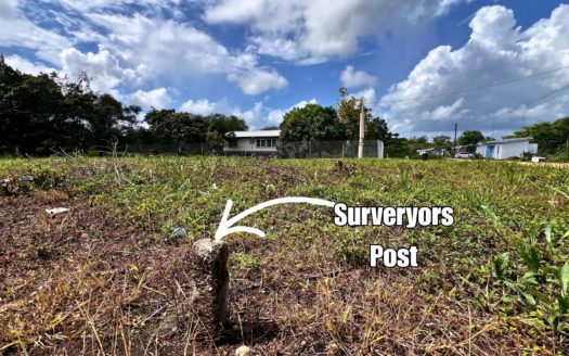 Build-Ready Lot for Sale in Salvapan, Belmopan