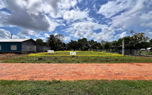 Build-Ready Lot for Sale in Salvapan, Belmopan