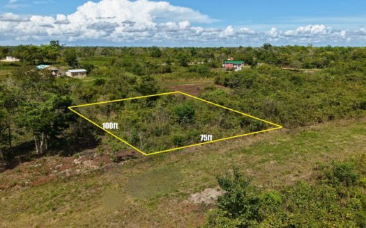 High-Potential Investment Lot in J&W, Belmopan