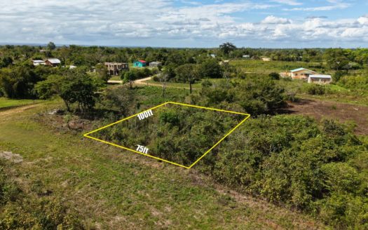 High-Potential Investment Lot in J&W, Belmopan
